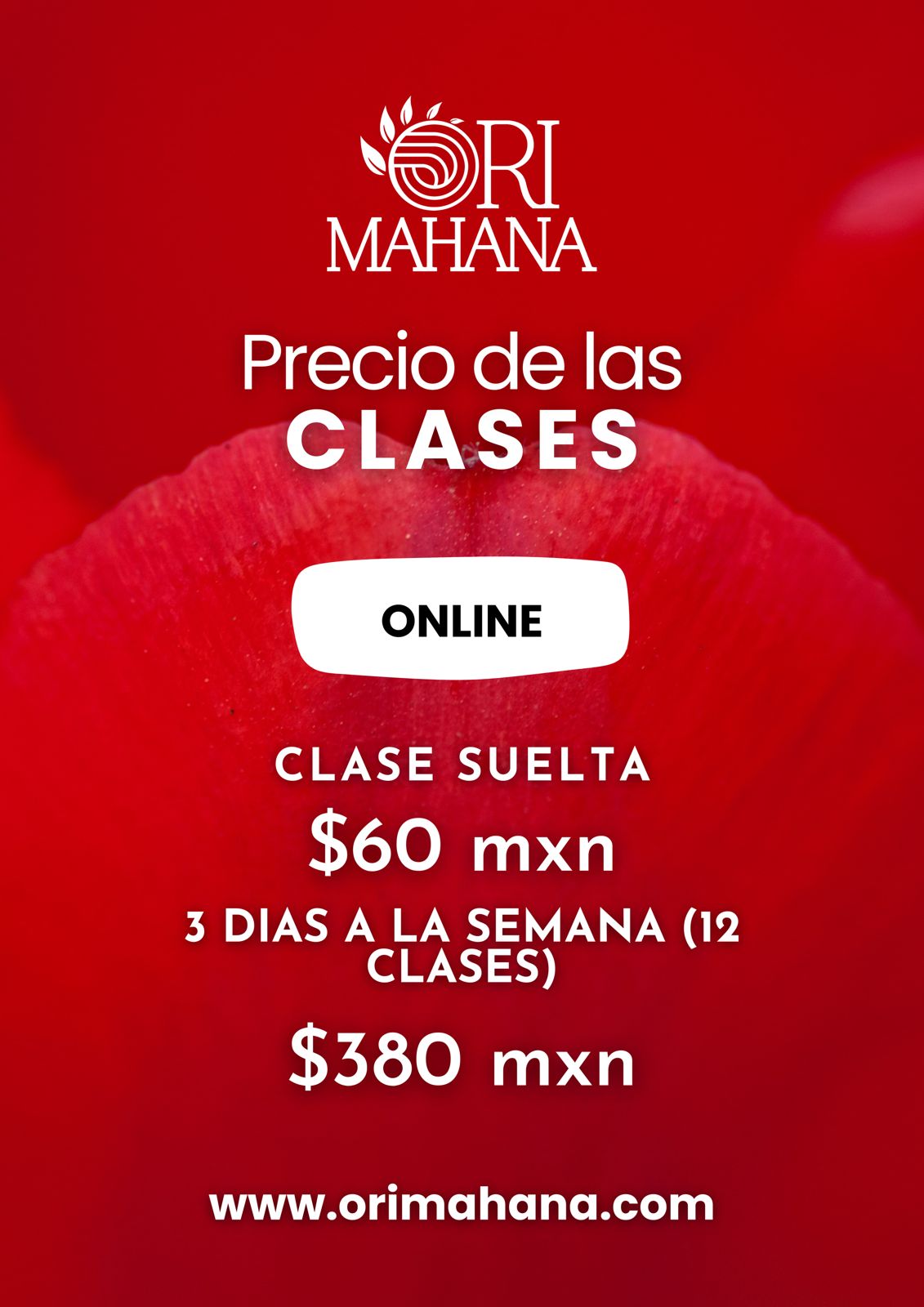 Precios clases Ori Mahana